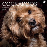 Cockapoos - 2026 Gifted Stationery Wall Calendar Dog Breed Photography