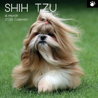 Shih Tzu - 2026 Gifted Stationery Wall Calendar Dog Breed Photography