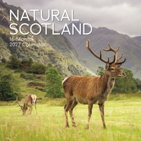 Scotland (Natural) - 2027 Gifted Stationery Wall Calendar Monthly Planner