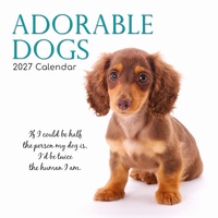 Adorable Dogs - 2027 Gifted Stationery Wall Calendar Monthly Planner