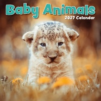 Baby Animals - 2027 Gifted Stationery Wall Calendar Monthly Planner