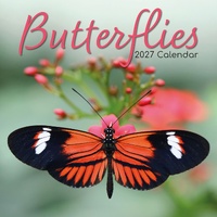 Butterflies - 2027 Gifted Stationery Wall Calendar Monthly Planner