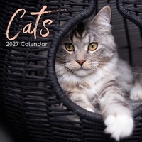 Cats - 2027 Gifted Stationery Wall Calendar Monthly Planner
