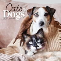 Cats & Dogs - 2027 Gifted Stationery Wall Calendar Monthly Planner