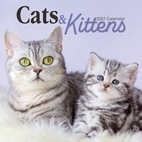 Cats & Kittens - 2027 Gifted Stationery Wall Calendar Monthly Planner