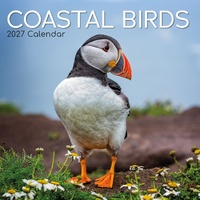 Coastal Birds - 2027 Gifted Stationery Wall Calendar Monthly Planner