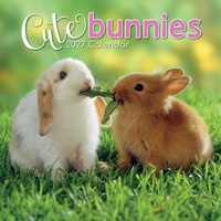 Cute Bunnies - 2027 Gifted Stationery Wall Calendar Monthly Planner