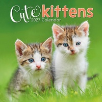 Cute Kittens - 2027 Gifted Stationery Wall Calendar Monthly Planner