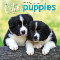 Cute Puppies - 2027 Gifted Stationery Wall Calendar Monthly Planner