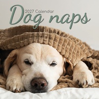 Dog Naps - 2027 Gifted Stationery Wall Calendar Monthly Planner