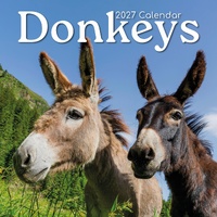 Donkeys - 2027 Gifted Stationery Wall Calendar Monthly Planner
