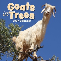 Goats in Trees - 2027 Gifted Stationery Wall Calendar Monthly Planner