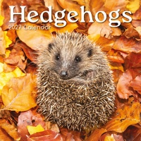 Hedgehogs - 2027 Gifted Stationery Wall Calendar Monthly Planner