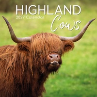 Highland Cows - 2027 Gifted Stationery Wall Calendar Monthly Planner