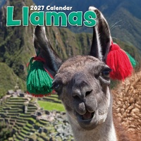 Llamas - 2027 Gifted Stationery Wall Calendar Monthly Planner