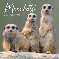 Meerkats - 2027 Gifted Stationery Wall Calendar Monthly Planner