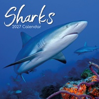 Sharks - 2027 Gifted Stationery Wall Calendar Monthly Planner
