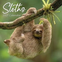 Sloths - 2027 Gifted Stationery Wall Calendar Monthly Planner