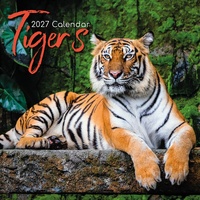 Tigers - 2027 Gifted Stationery Wall Calendar Monthly Planner