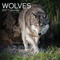 Wolves - 2027 Gifted Stationery Wall Calendar Monthly Planner
