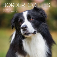 Border Collies - 2027 Gifted Stationery Wall Calendar Monthly Planner