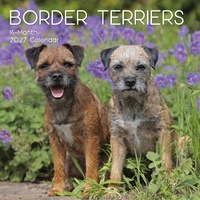 Border Terriers - 2027 Gifted Stationery Wall Calendar Monthly Planner