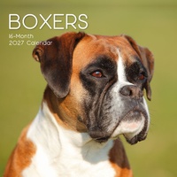 Boxers - 2027 Gifted Stationery Wall Calendar Monthly Planner