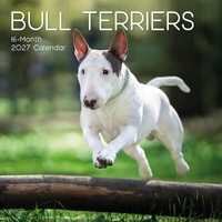 Bull Terriers - 2027 Gifted Stationery Wall Calendar Monthly Planner