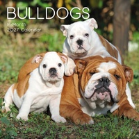 Bulldogs - 2027 Gifted Stationery Wall Calendar Monthly Planner