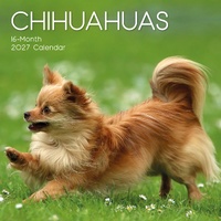 Chihuahuas - 2027 Gifted Stationery Wall Calendar Monthly Planner