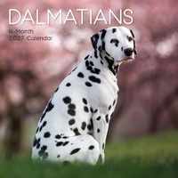 Dalmatians - 2027 Gifted Stationery Wall Calendar Monthly Planner