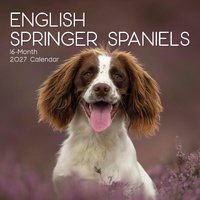 English Springer Spaniels - 2027 Gifted Stationery Wall Calendar Planner