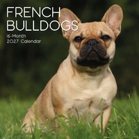French Bulldogs - 2027 Gifted Stationery Wall Calendar Monthly Planner