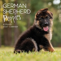 German Shepherd Puppies - 2027 Gifted Stationery Wall Calendar Planner