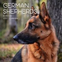 German Shepherds - 2027 Gifted Stationery Wall Calendar Monthly Planner