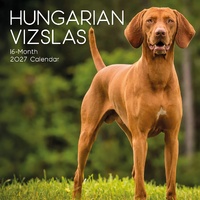 Hungarian Vizslas - 2027 Gifted Stationery Wall Calendar Monthly Planner