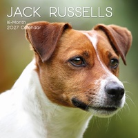 Jack Russells - 2027 Gifted Stationery Wall Calendar Monthly Planner