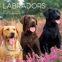 Labradors - 2027 Gifted Stationery Wall Calendar Monthly Planner