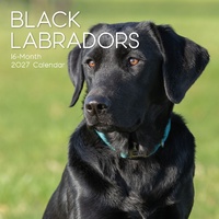 Labradors (Black) - 2027 Gifted Stationery Wall Calendar Monthly Planner