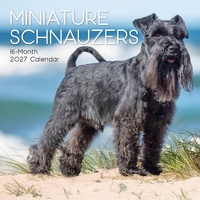Miniature Schnauzers - 2027 Gifted Stationery Wall Calendar Monthly Planner