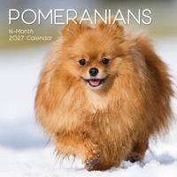 Pomeranians - 2027 Gifted Stationery Wall Calendar Monthly Planner