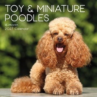 Poodles (Toy & Miniature) - 2027 Gifted Stationery Wall Calendar Planner