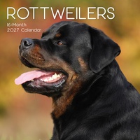 Rottweilers - 2027 Gifted Stationery Wall Calendar Monthly Planner