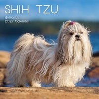 Shih Tzu - 2027 Gifted Stationery Wall Calendar Monthly Planner