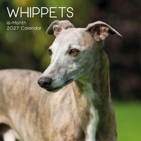 Whippets - 2027 Gifted Stationery Wall Calendar Monthly Planner