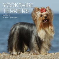 Yorkshire Terriers - 2027 Gifted Stationery Wall Calendar Monthly Planner