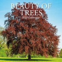 Beauty of Trees - 2027 Gifted Stationery Wall Calendar Monthly Planner