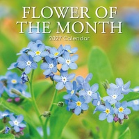 Flower of the Month - 2027 Gifted Stationery Wall Calendar Monthly Planner