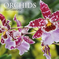 Orchids - 2027 Gifted Stationery Wall Calendar Monthly Planner