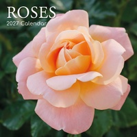 Roses - 2027 Gifted Stationery Wall Calendar Monthly Planner